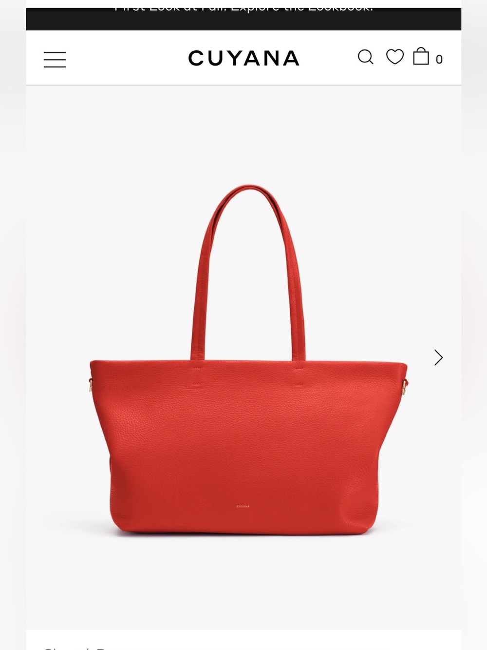 Cuyana Small Easy Zipper Tote